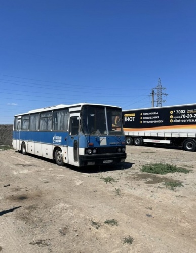 на фото: Междугородний / Пригородный автобус Ikarus 256, бу, Астрахань